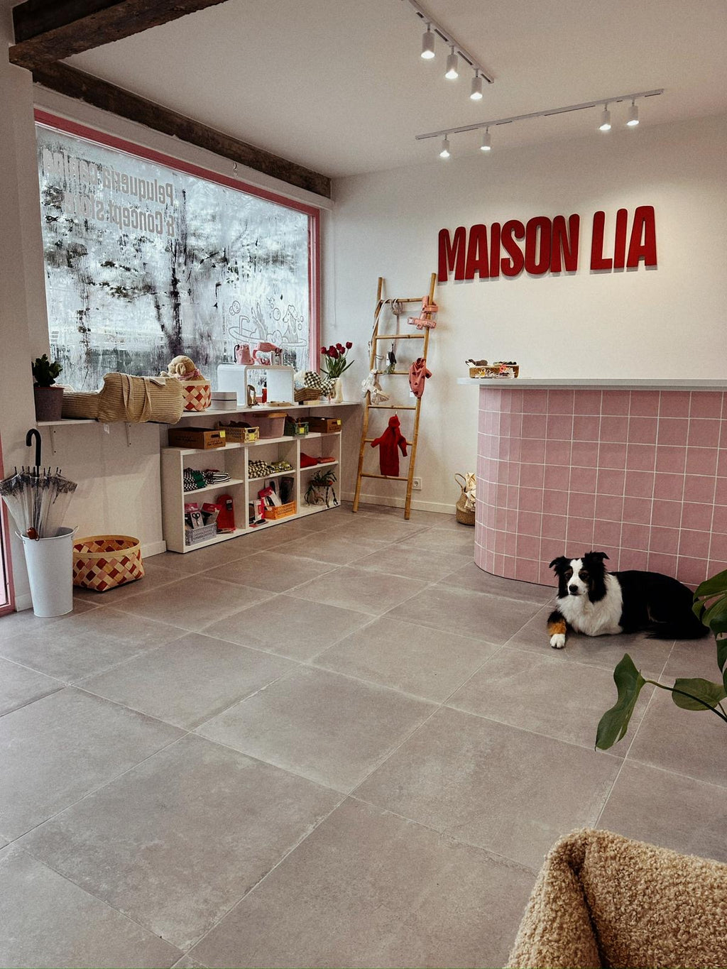 CHARM YOUR PET · MADRID