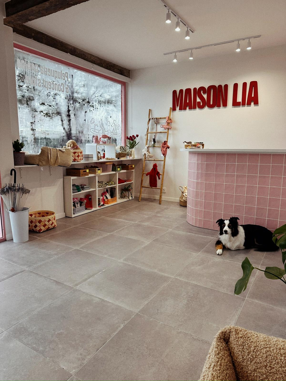 CHARM YOUR PET · MADRID