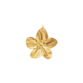 FLOR DORADA