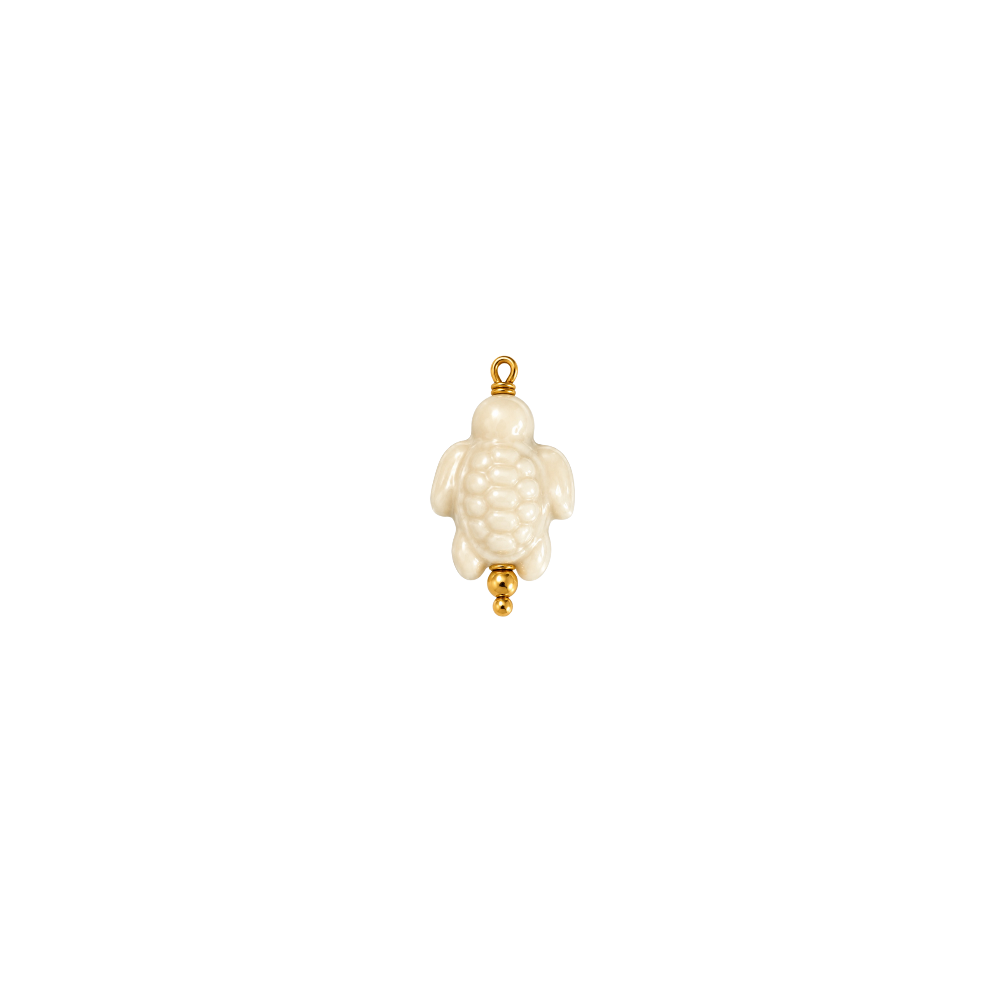 TORTUGA BLANCA