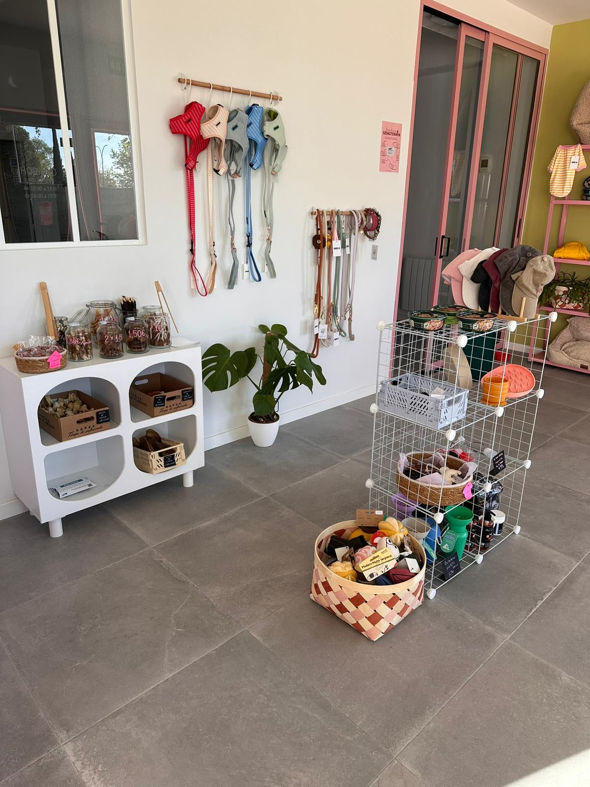 CHARM YOUR PET · MADRID