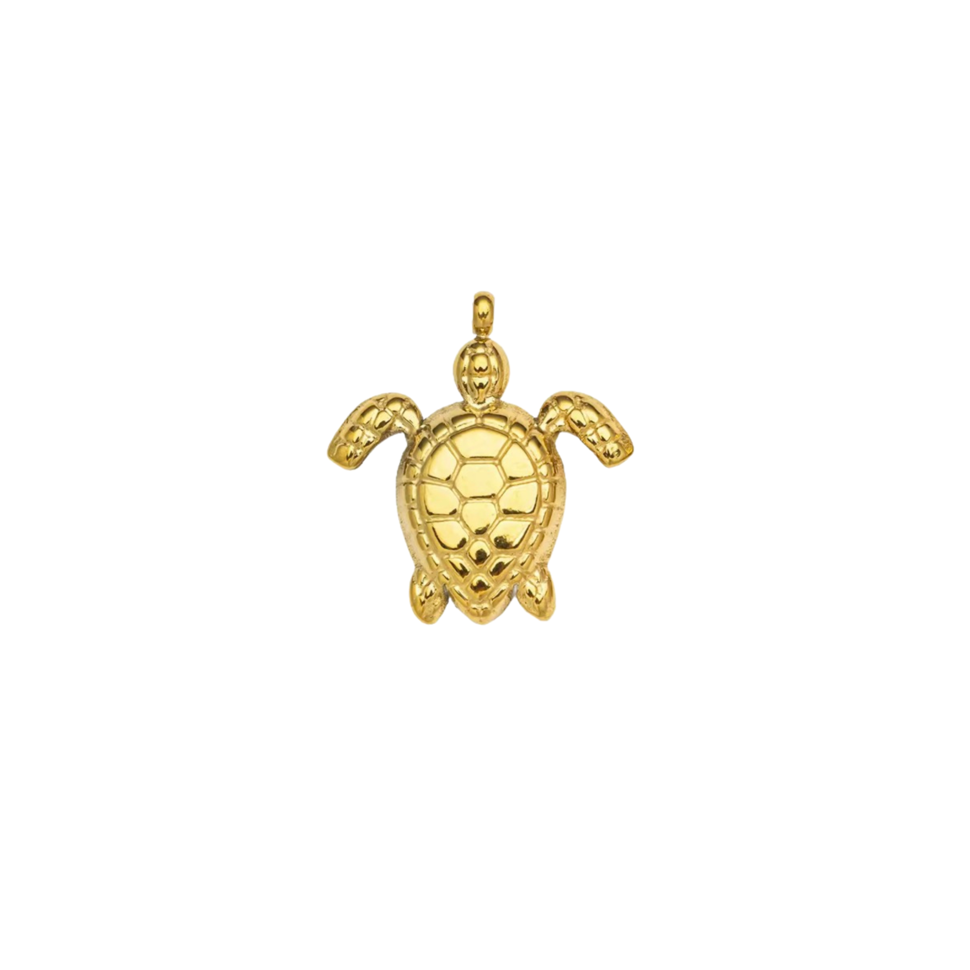 TORTUGA DORADA PEQUEÑA
