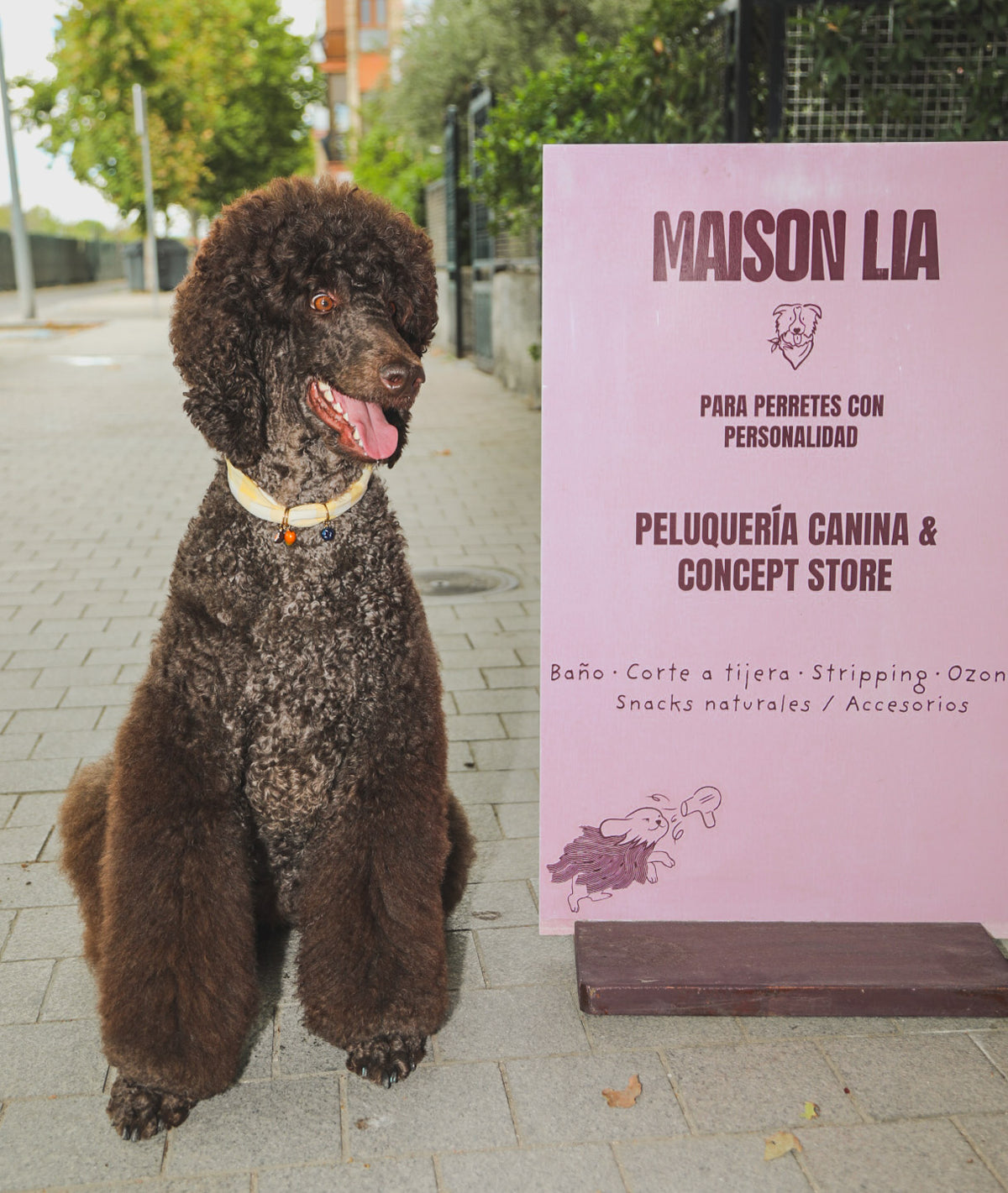 CHARM YOUR PET · MADRID