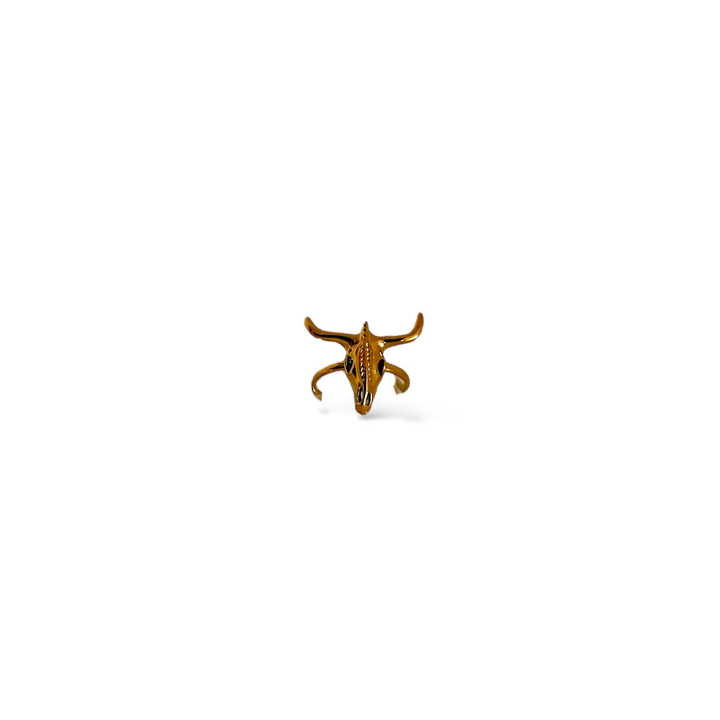 Anillo Toro