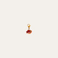 Charm Pez naranja
