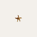 Anillo Estrella