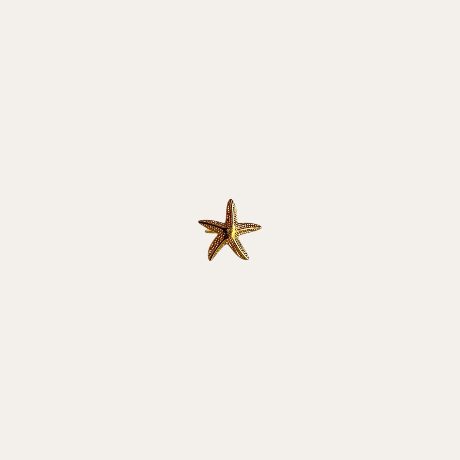 Anillo Estrella Pequeña