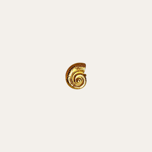 Anillo Caracola