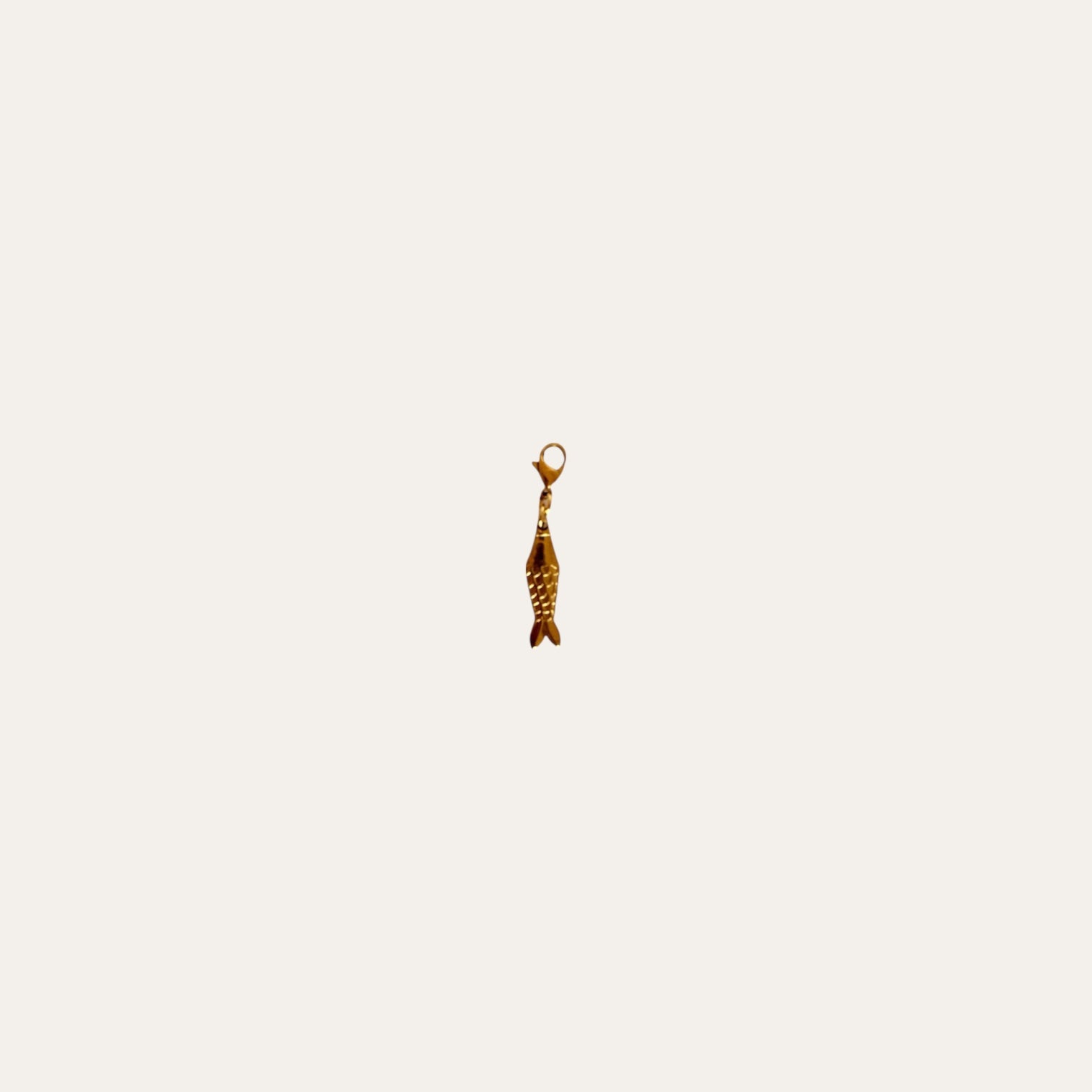 Charm Pez Pequeño