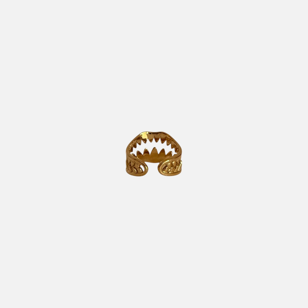 Anillo BITE