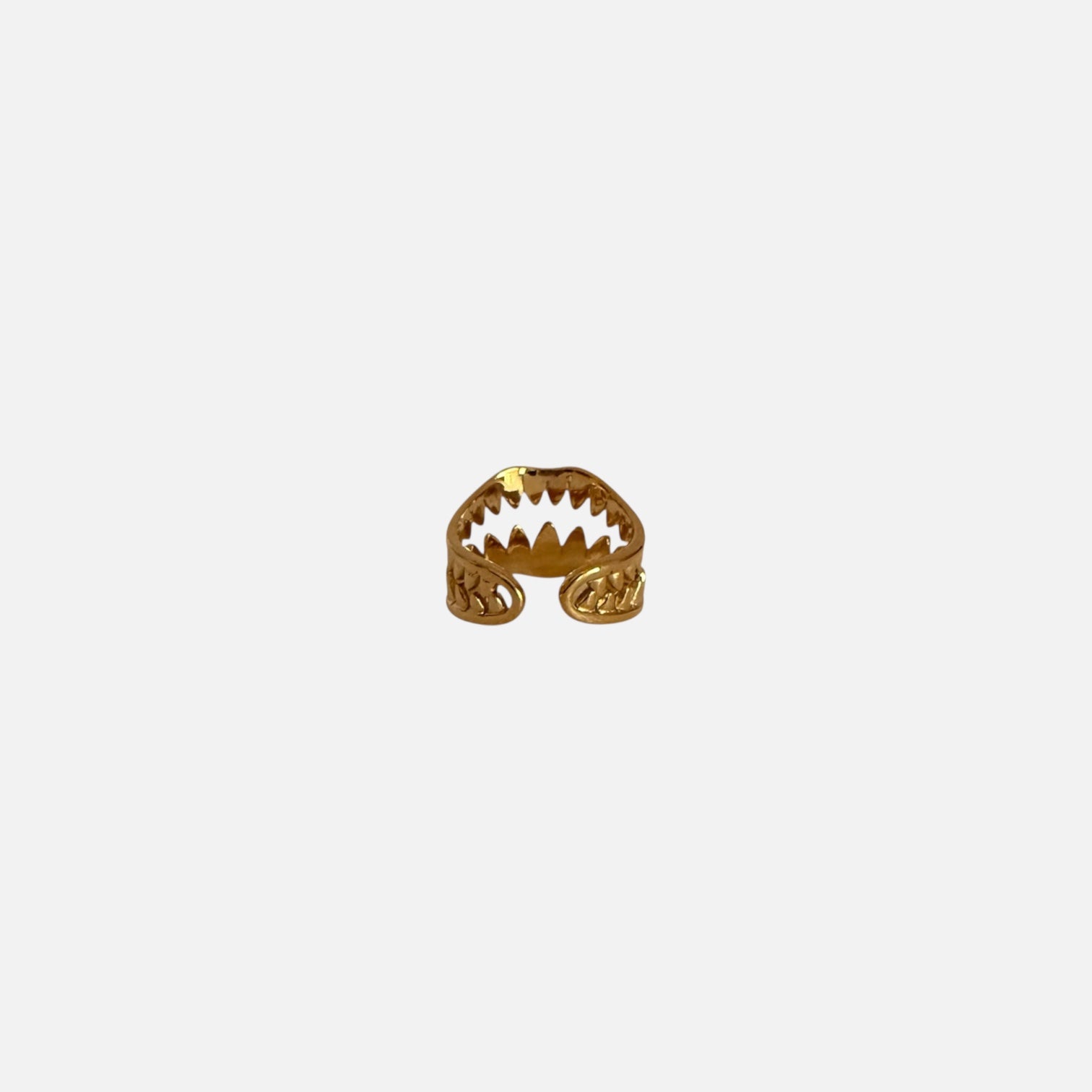Anillo BITE