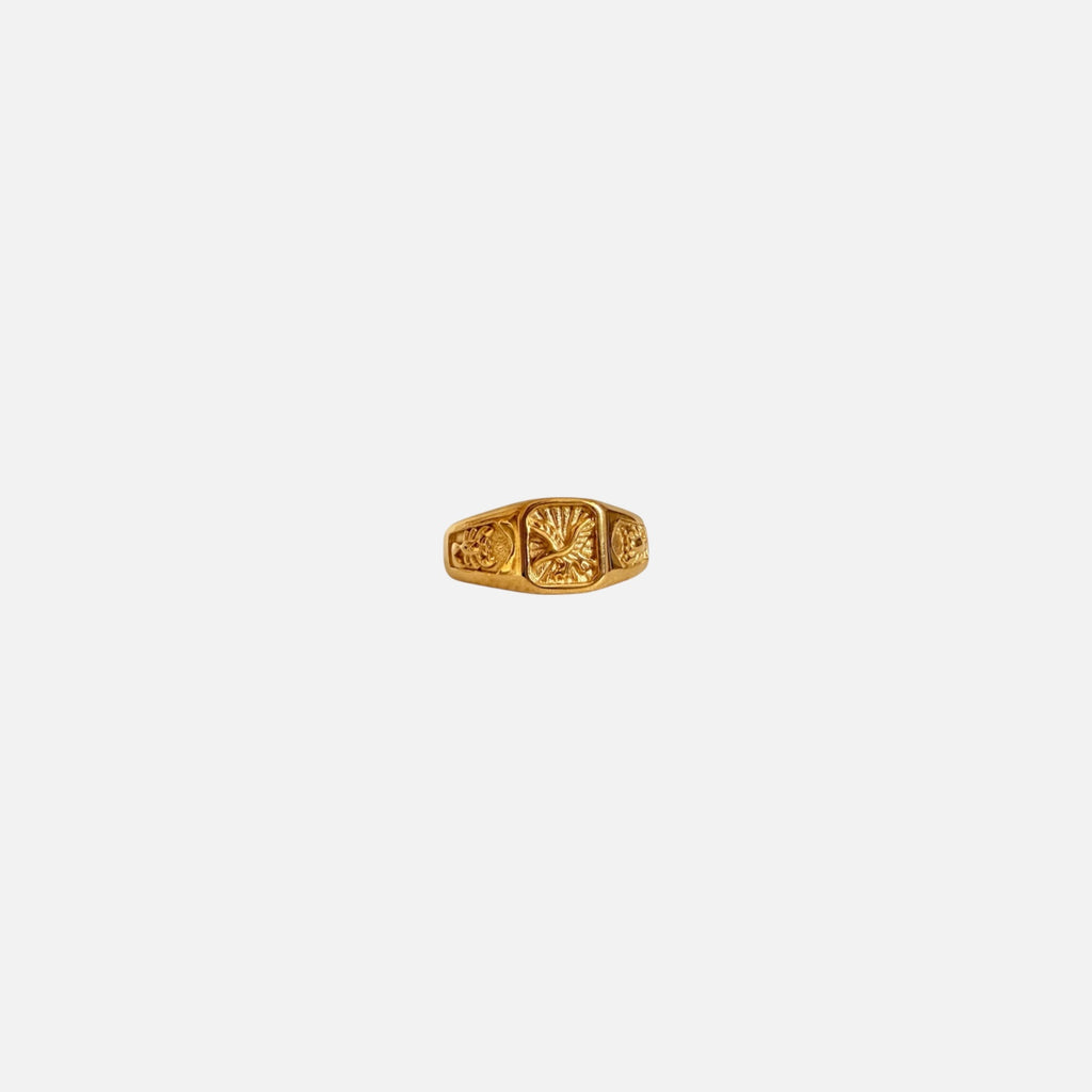 Anillo SOAR