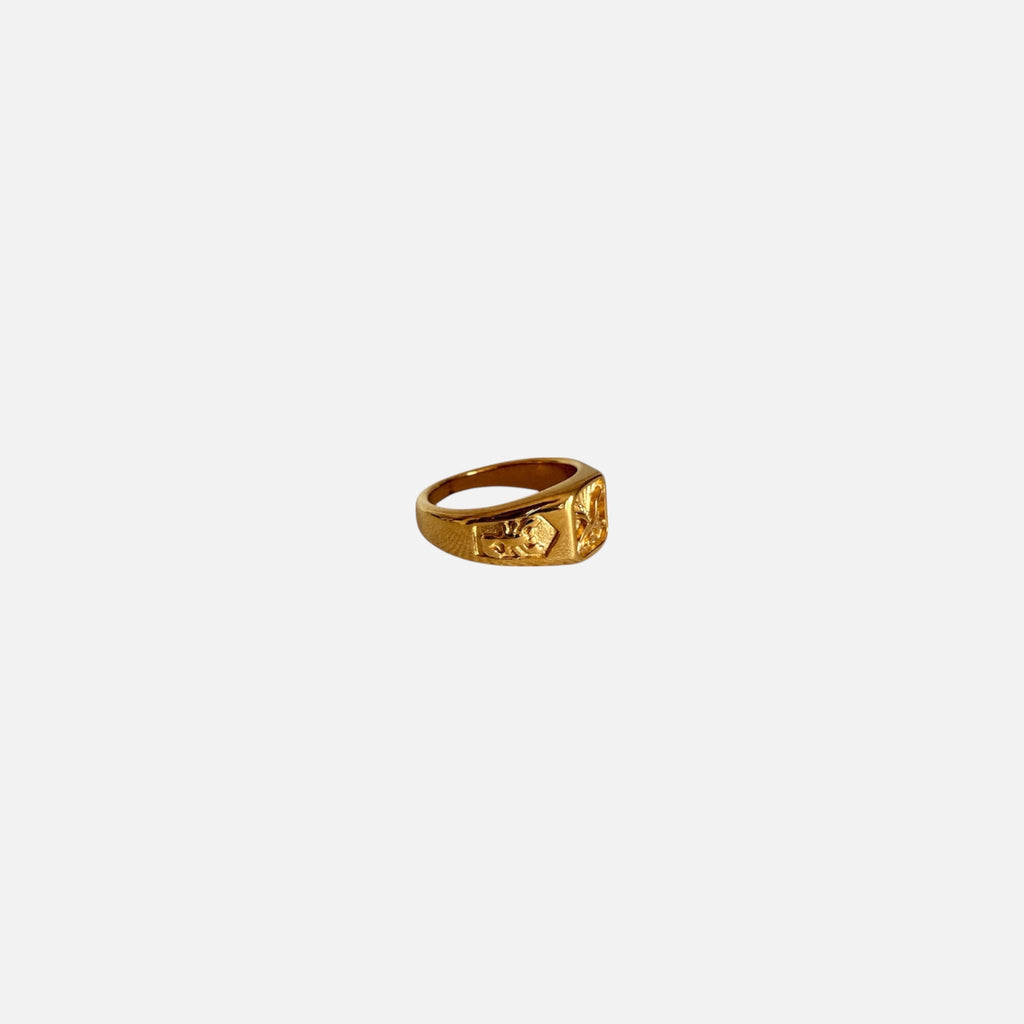 Anillo SOAR