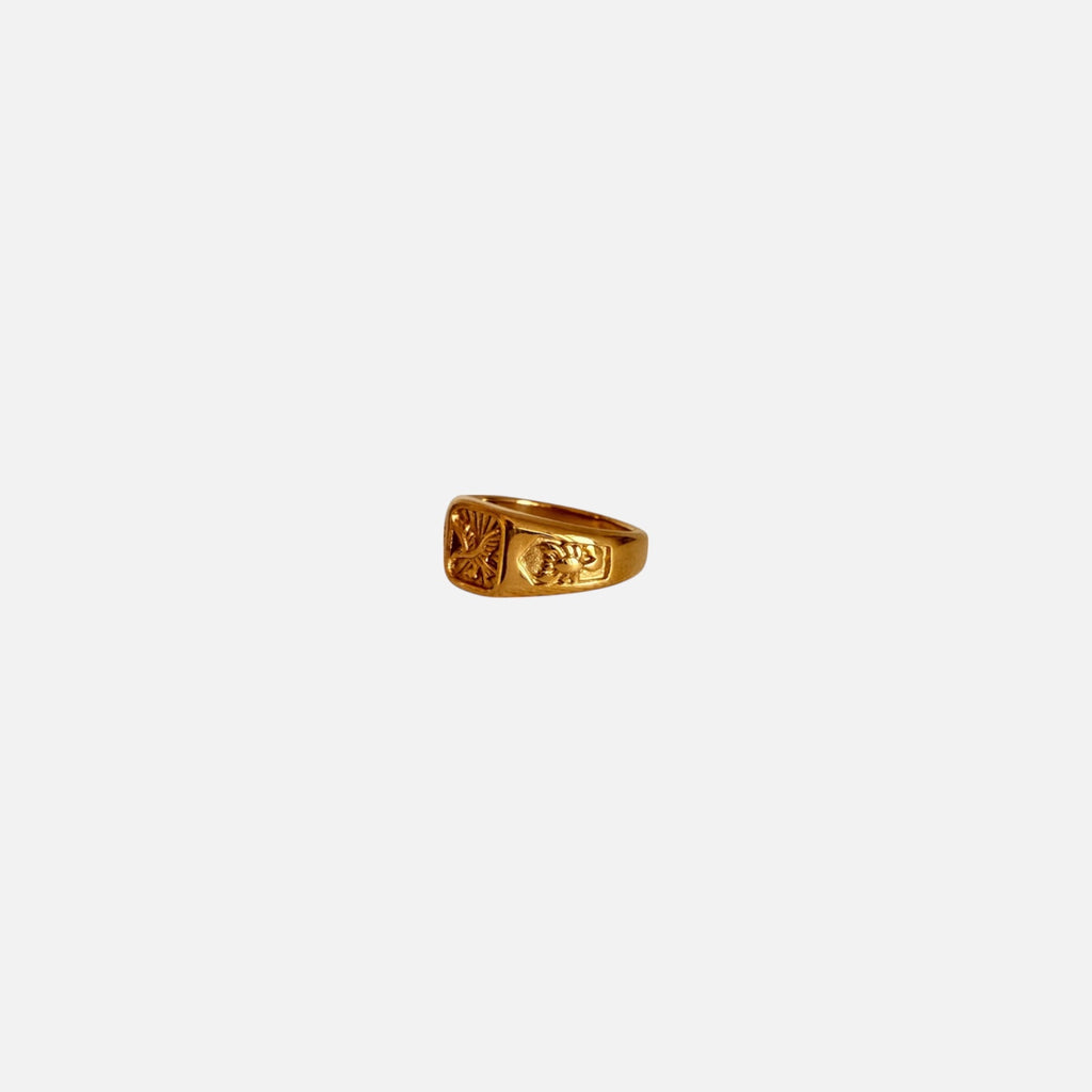 Anillo SOAR